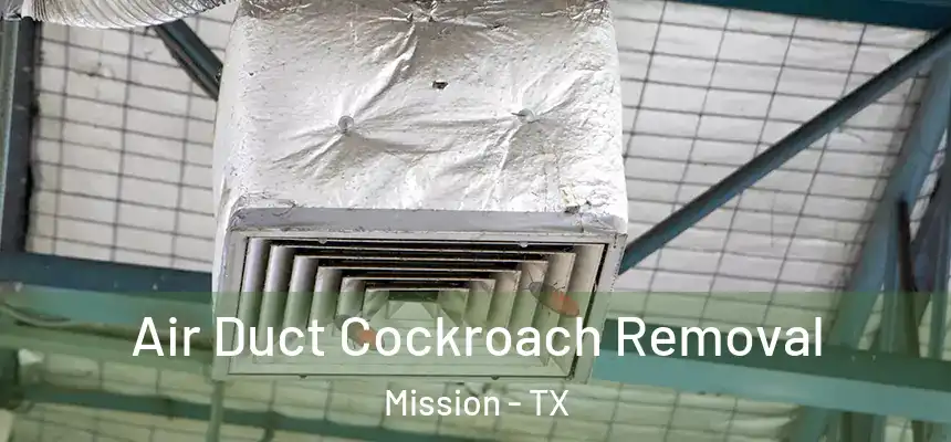 Air Duct Cockroach Removal Mission - TX