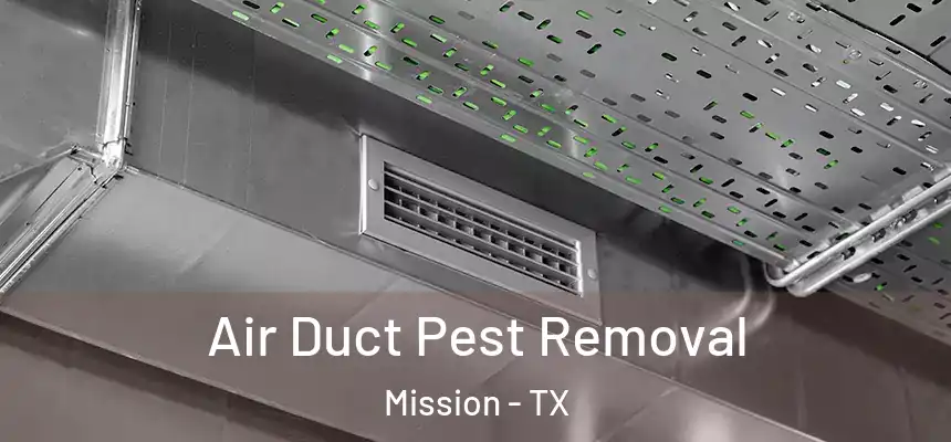  Air Duct Pest Removal Mission - TX