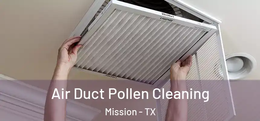 Air Duct Pollen Cleaning Mission - TX
