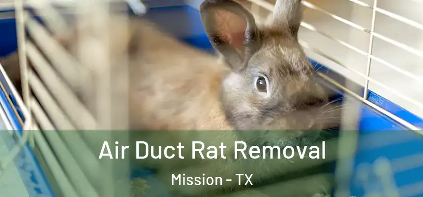  Air Duct Rat Removal Mission - TX