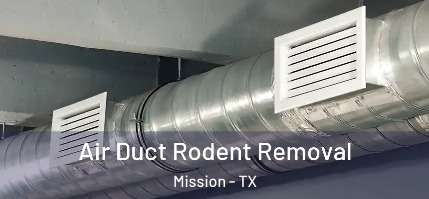  Air Duct Rodent Removal Mission - TX