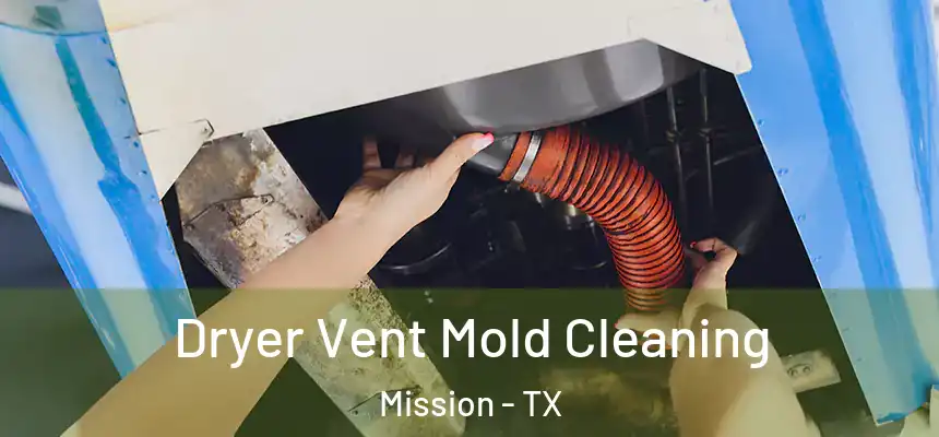  Dryer Vent Mold Cleaning Mission - TX