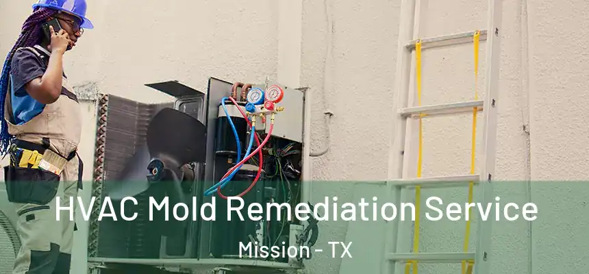 HVAC Mold Remediation Service Mission - TX