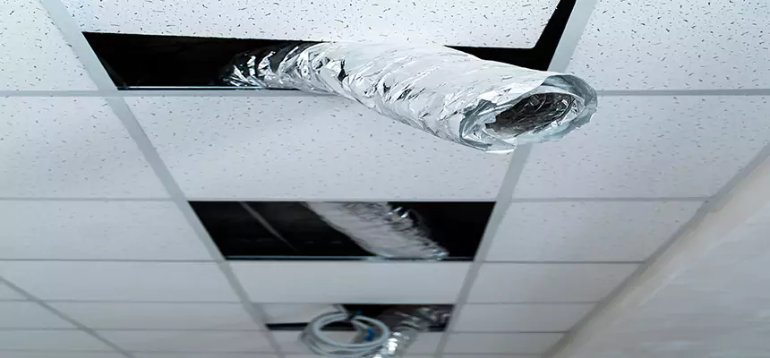 Affordable HVAC Sanitizing After Pest Removal in Mission