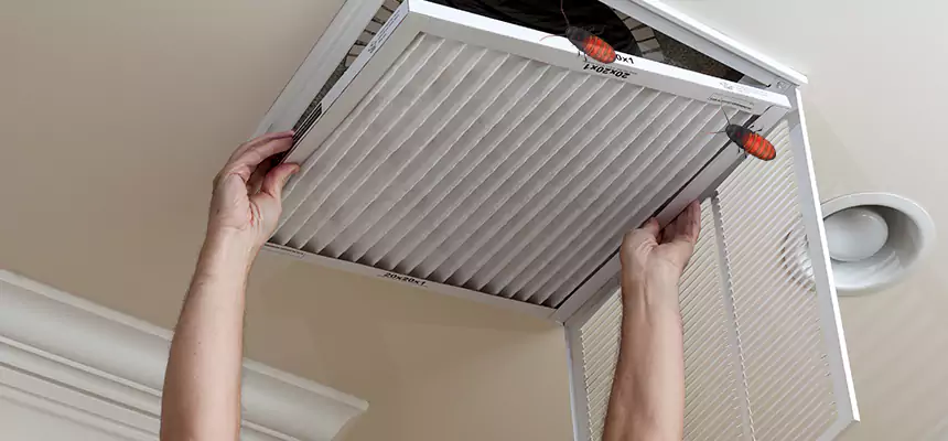 Our Insect Removal from Air Ducts Services in Mission, TX