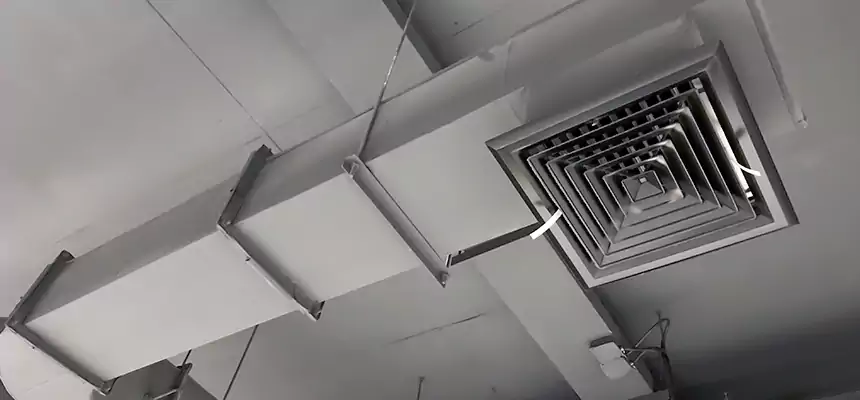 Our Pest Removal From Ducts Services in Mission, TX