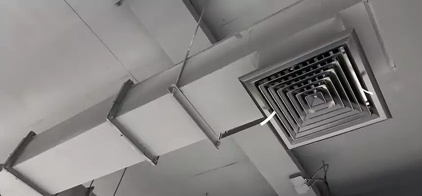 Our Rodent Droppings In Vents Services in Mission, TX