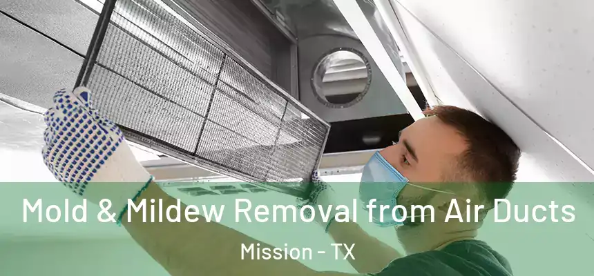 Mold & Mildew Removal from Air Ducts Mission - TX