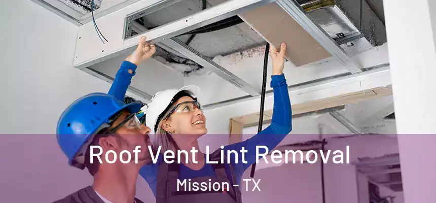 Roof Vent Lint Removal Mission - TX