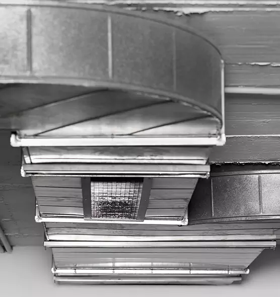 Professional Air Duct Pest Removal in Mission, TX