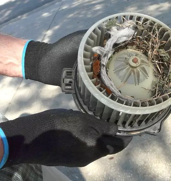 About Air Duct Rat Removal in Mission, TX