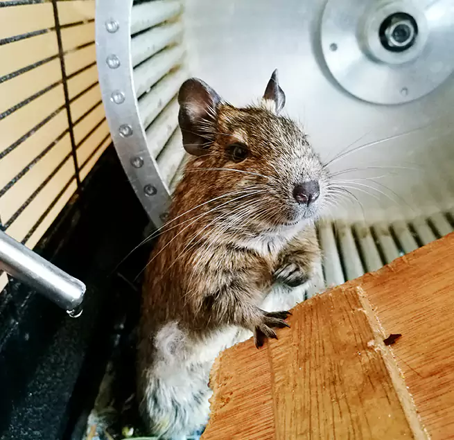 Why Homeowners & Businesses Trust Us Mission, TX?