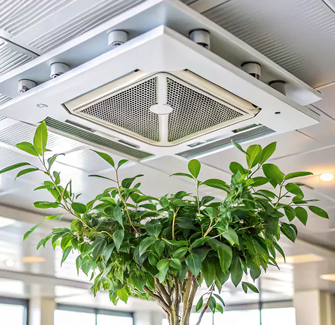 Why Homeowners & Businesses Trust Us in Mission, TX?