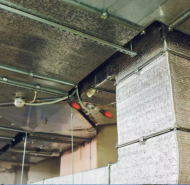 Why Homeowners & Businesses Trust Us Mission, TX?