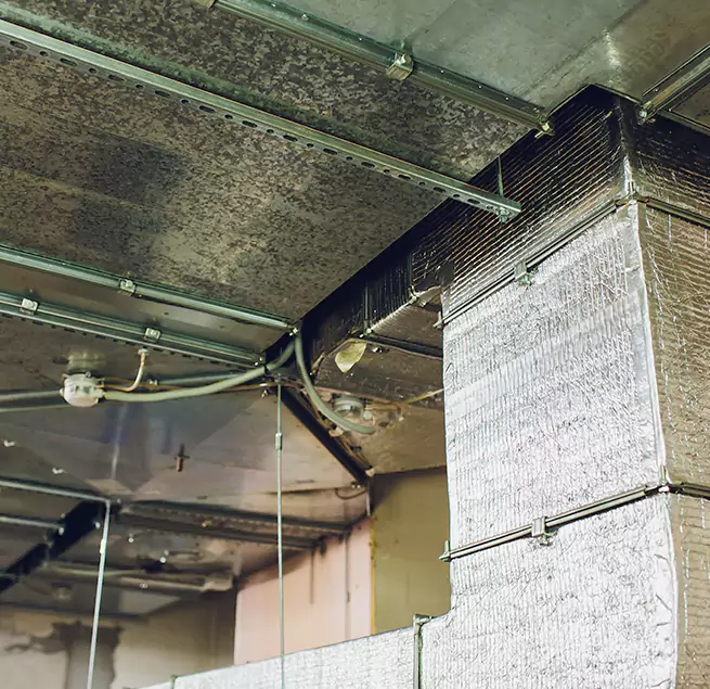 Why Homeowners & Businesses Trust Us in Mission, TX?