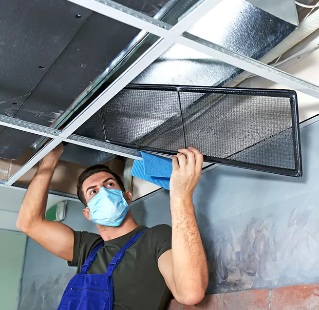 Why Homeowners Businesses Trust Us in Mission, TX?